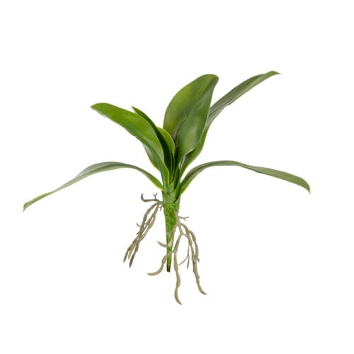 Yapay Orkide Yaprağı (30cm)