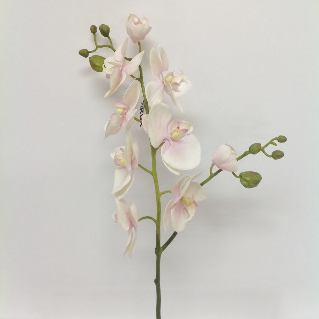 Real Touch Phalaenopsis Orchid White - Görsel 2