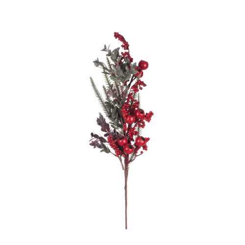 Berry Dal (55 CM)