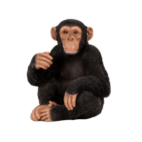Aksesuar Şempanze