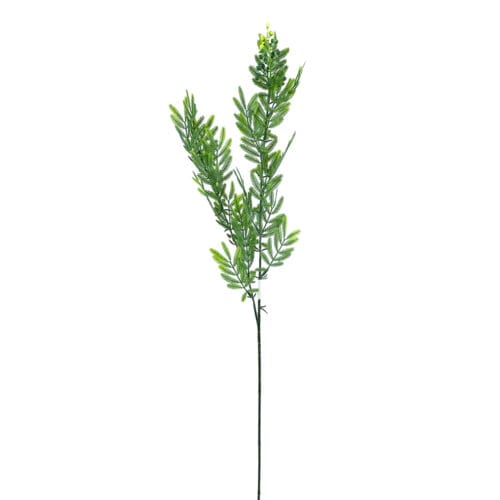 Mimoza Ara Dal