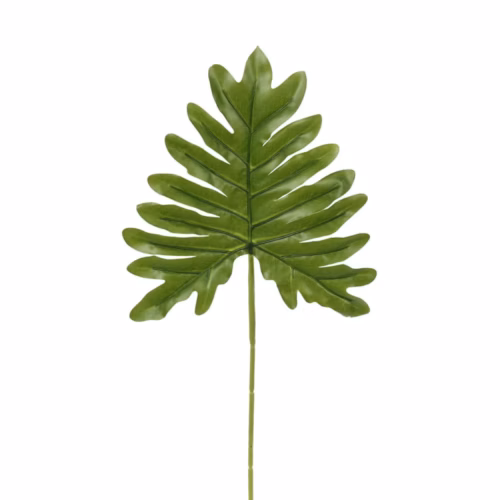 Split Philo Leaf