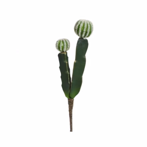 Succulent Green