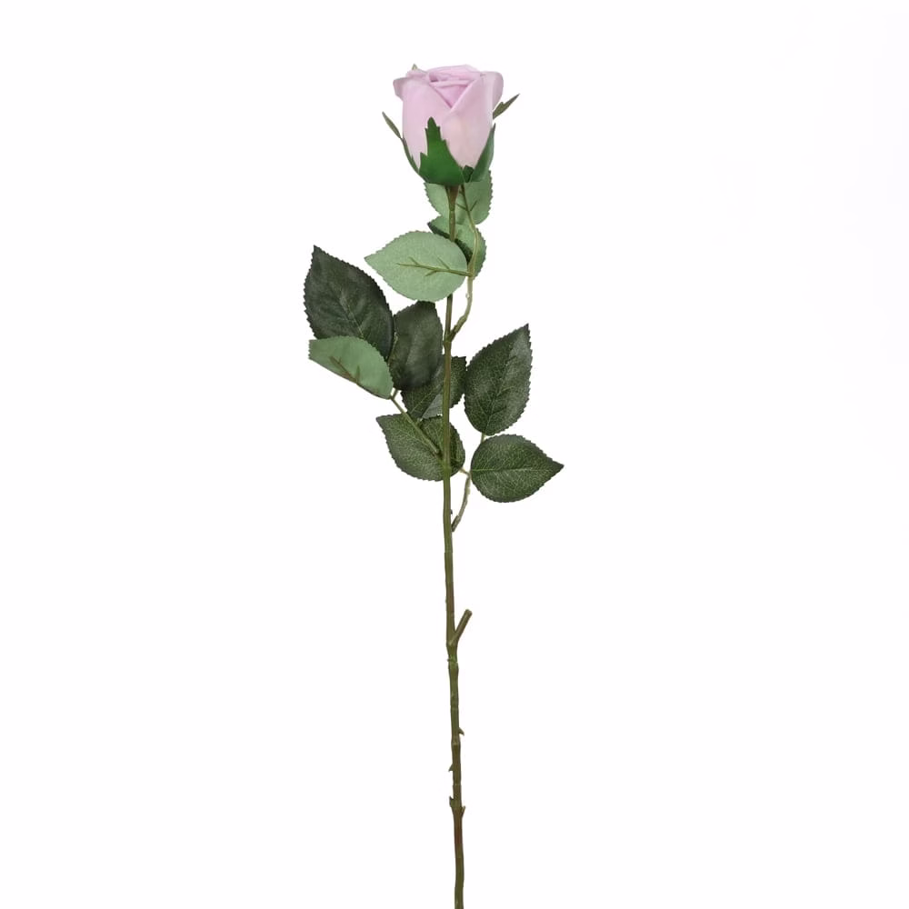 Touch Rose