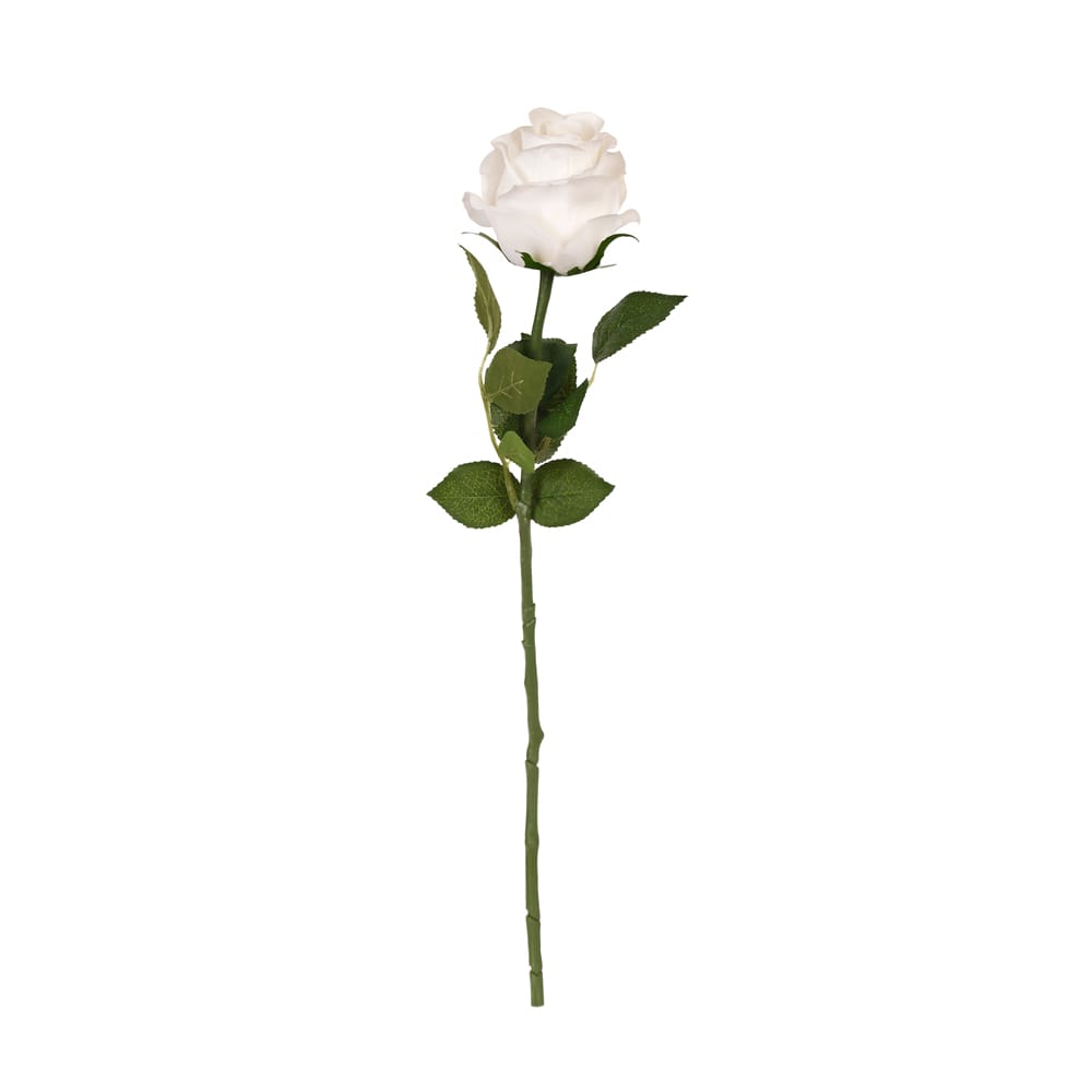 Touch Rose (54 CM) Touch Rose