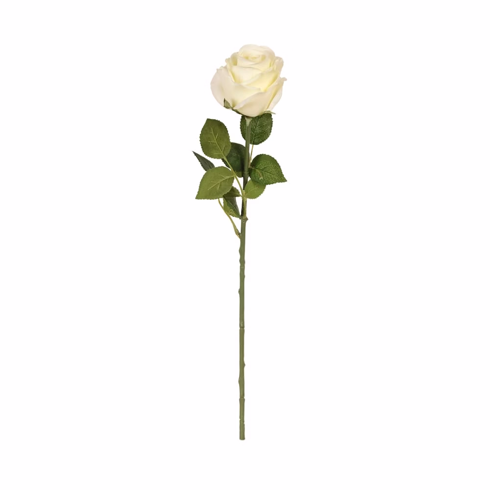 Touch Rose