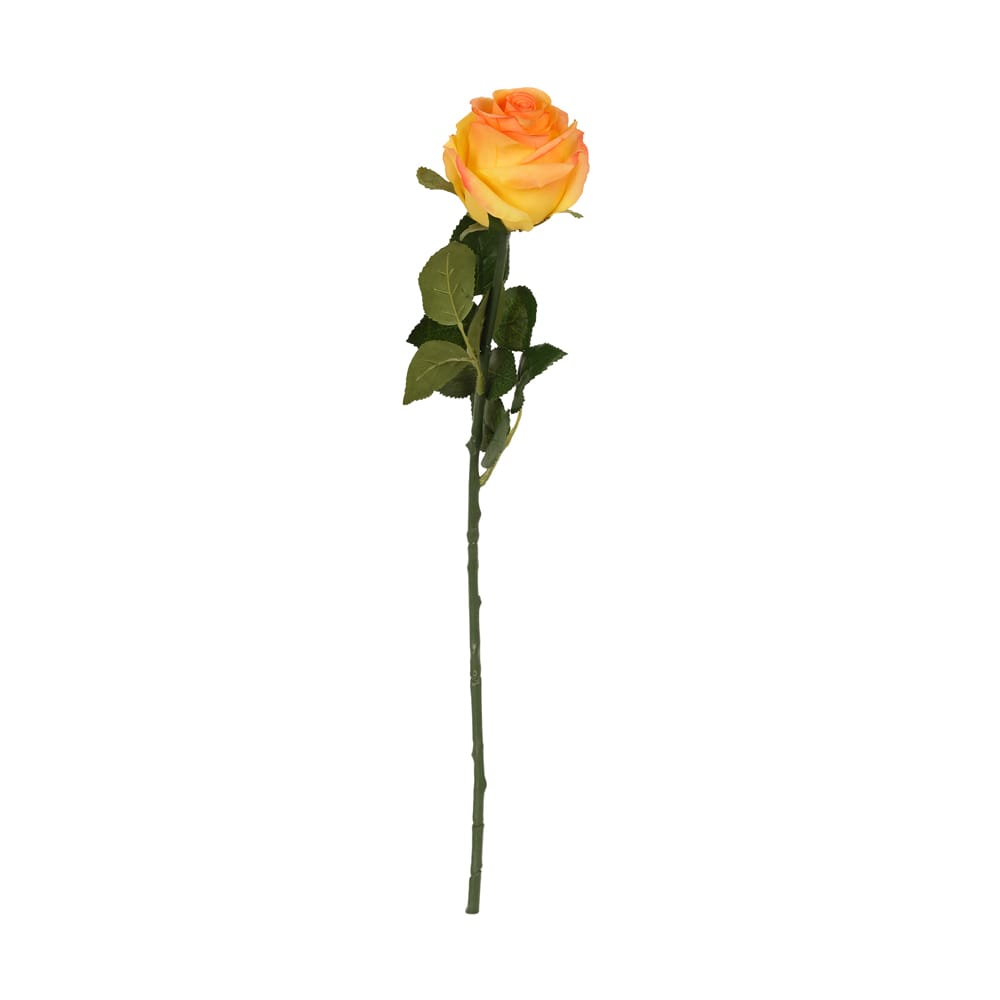 Touch Rose (54 CM) Touch Rose