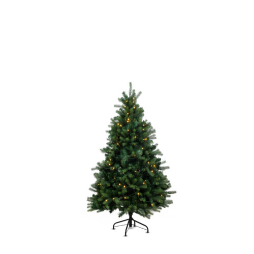 Bogota Pine Smart 150 CM