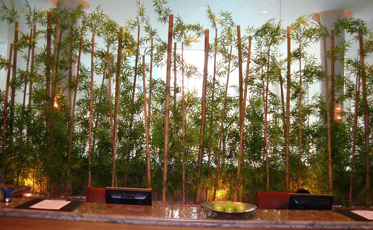 Yapay Bambu Ağaçlarıyla Dekorasyon