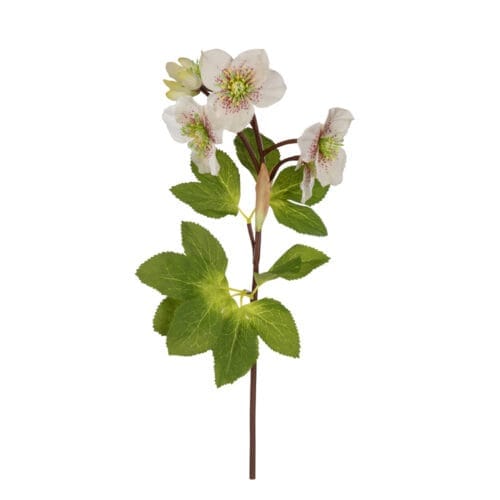 Poinsettia Rose Spray