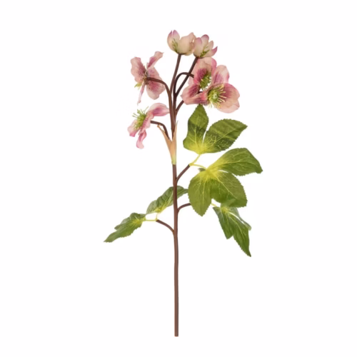Poinsettia Rose Spray