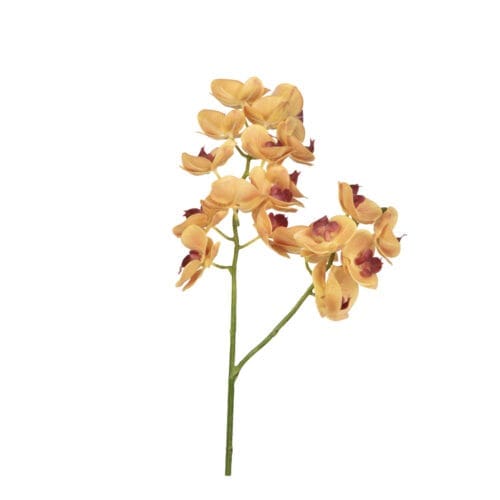 Yapay Islak Dokulu Orkide Çiçeği - Phalaenopsis