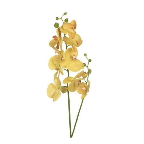 Yapay Islak Dokulu Çiçek - Phalaenopsis Orkide (65cm)