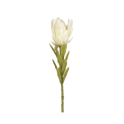 Yapay Protea Çiçeği Tek Dal (56cm)