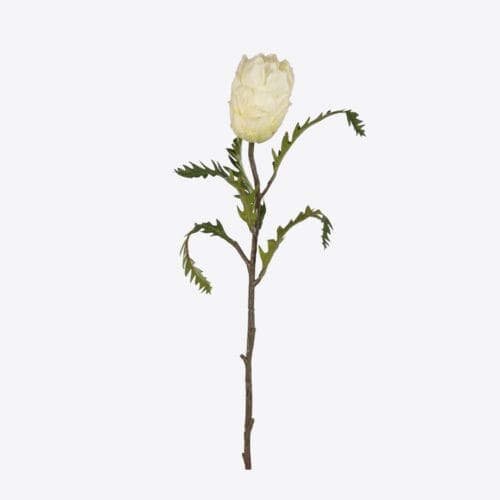Yapay Protea Çiçeği Tek Dal (63cm)