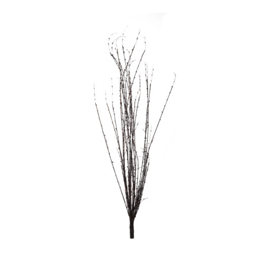 Willow Twig