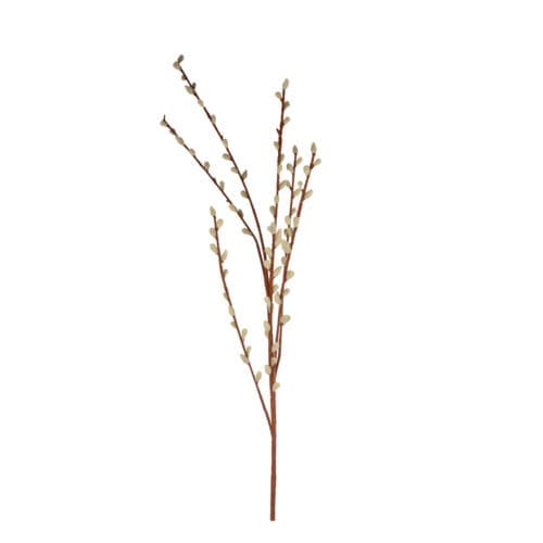 Willow Spray