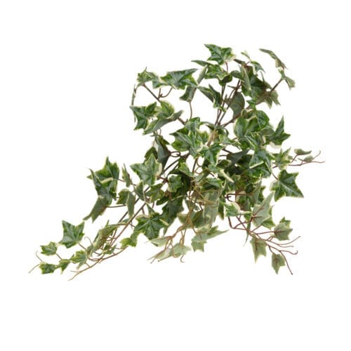 Yapay Puf Sarmaşık (56cm)