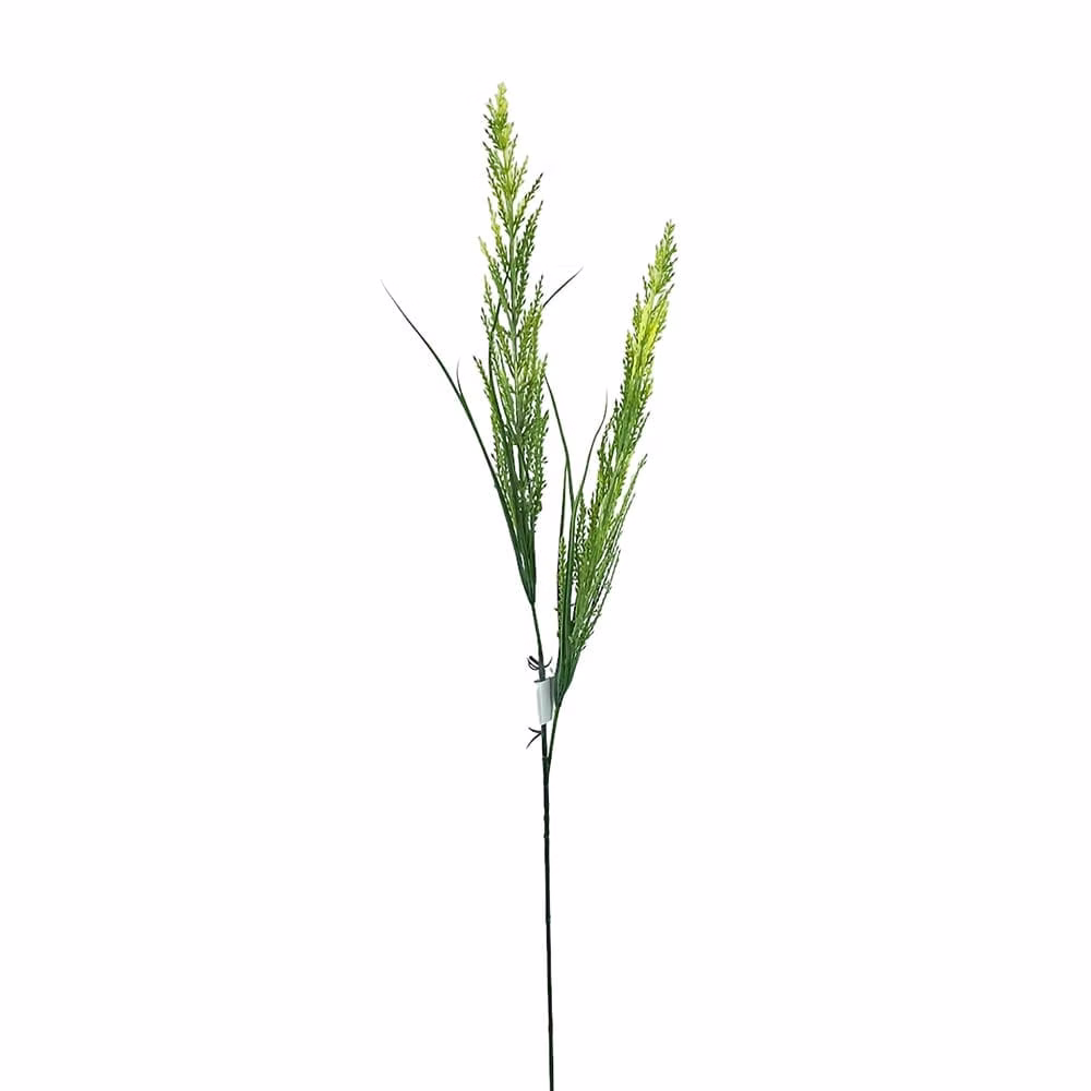 Bitki Dal - Görsel 2