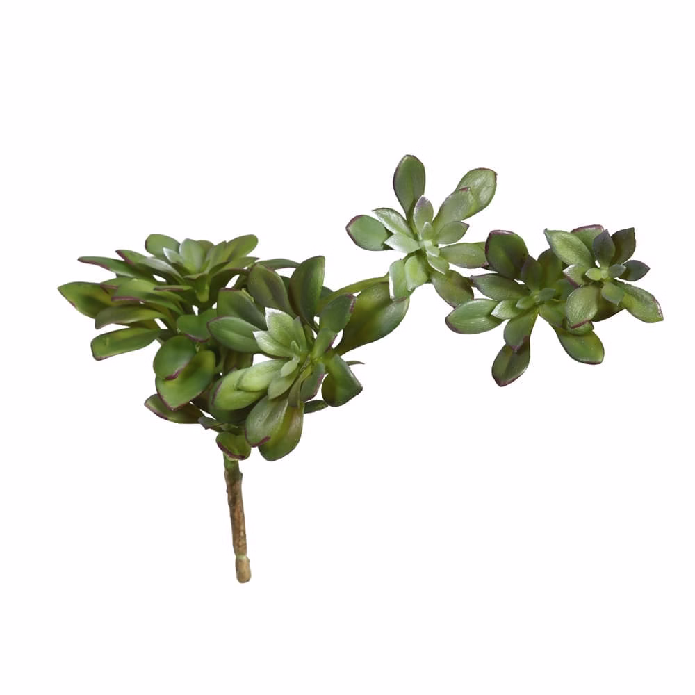 Yapay Echeveria Suculent
