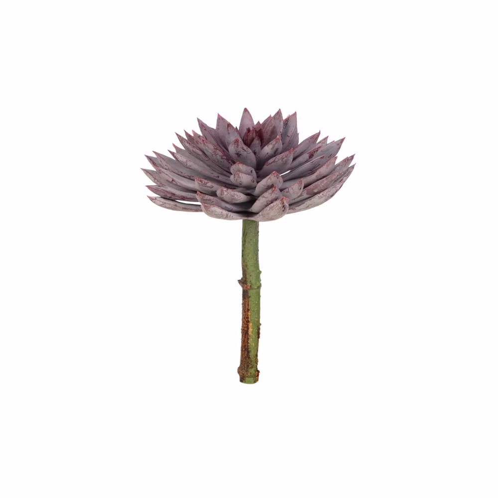 Yapay Echeveria Sukulent (20 CM)
