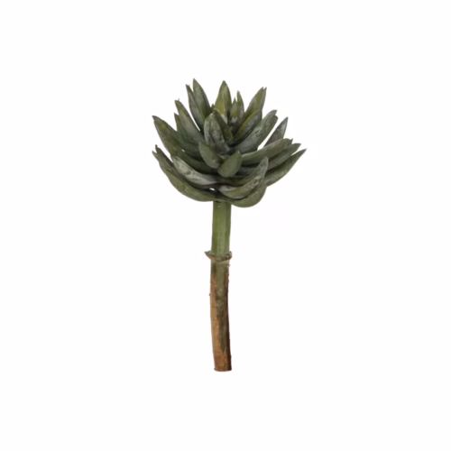 Yapay Sukkulent (15 CM)