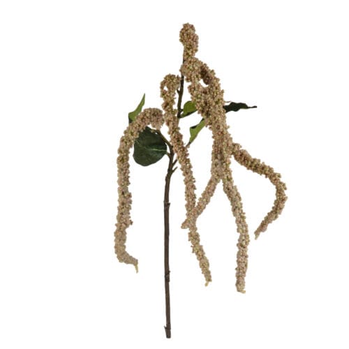 Yapay Amaranthus Tek Dal