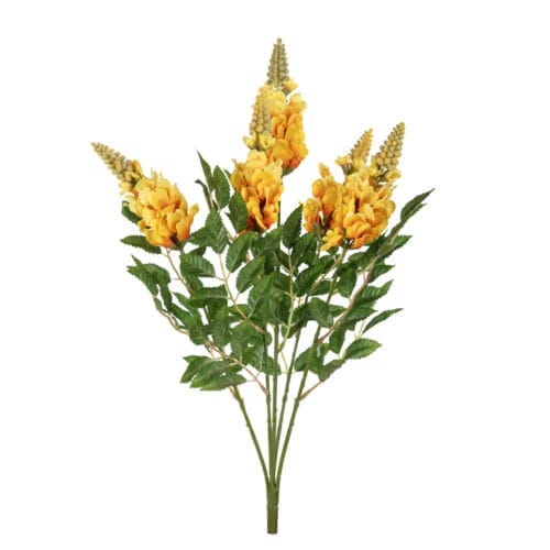 Snapdragon Bush Snapdragon Bush