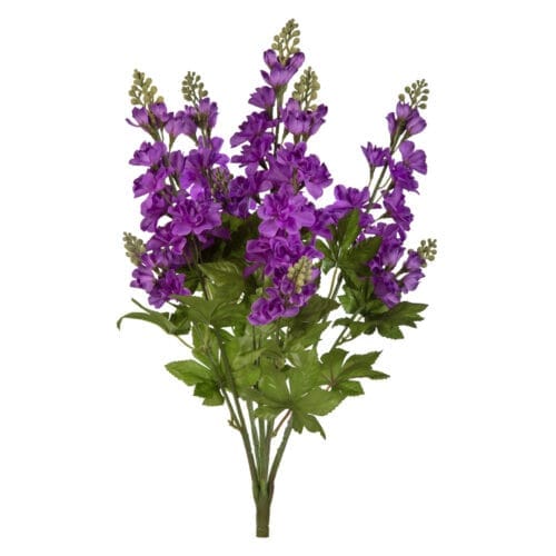 Delphinium Bush