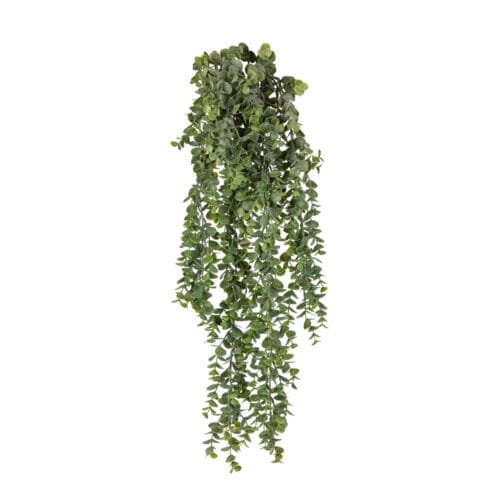 Eucalyptus Spray