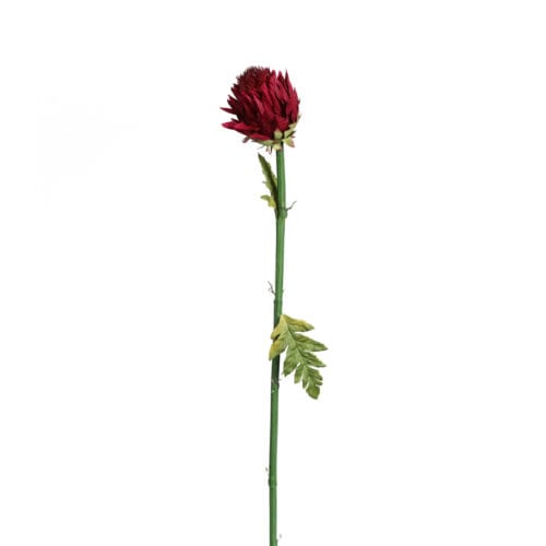 Yapay Protea Çiçeği Tek Dal (85cm)