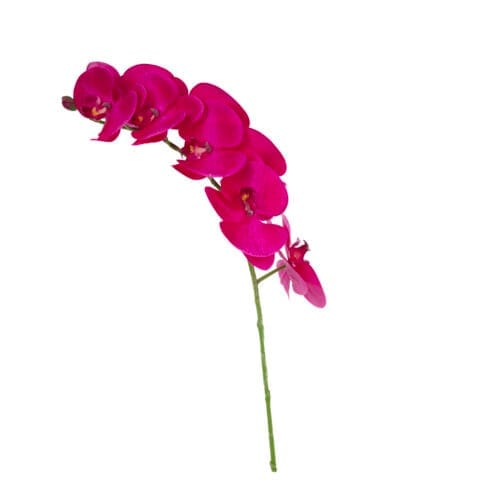 Yapay Orkide Çiçeği - Phalaenopsis Tek Dal