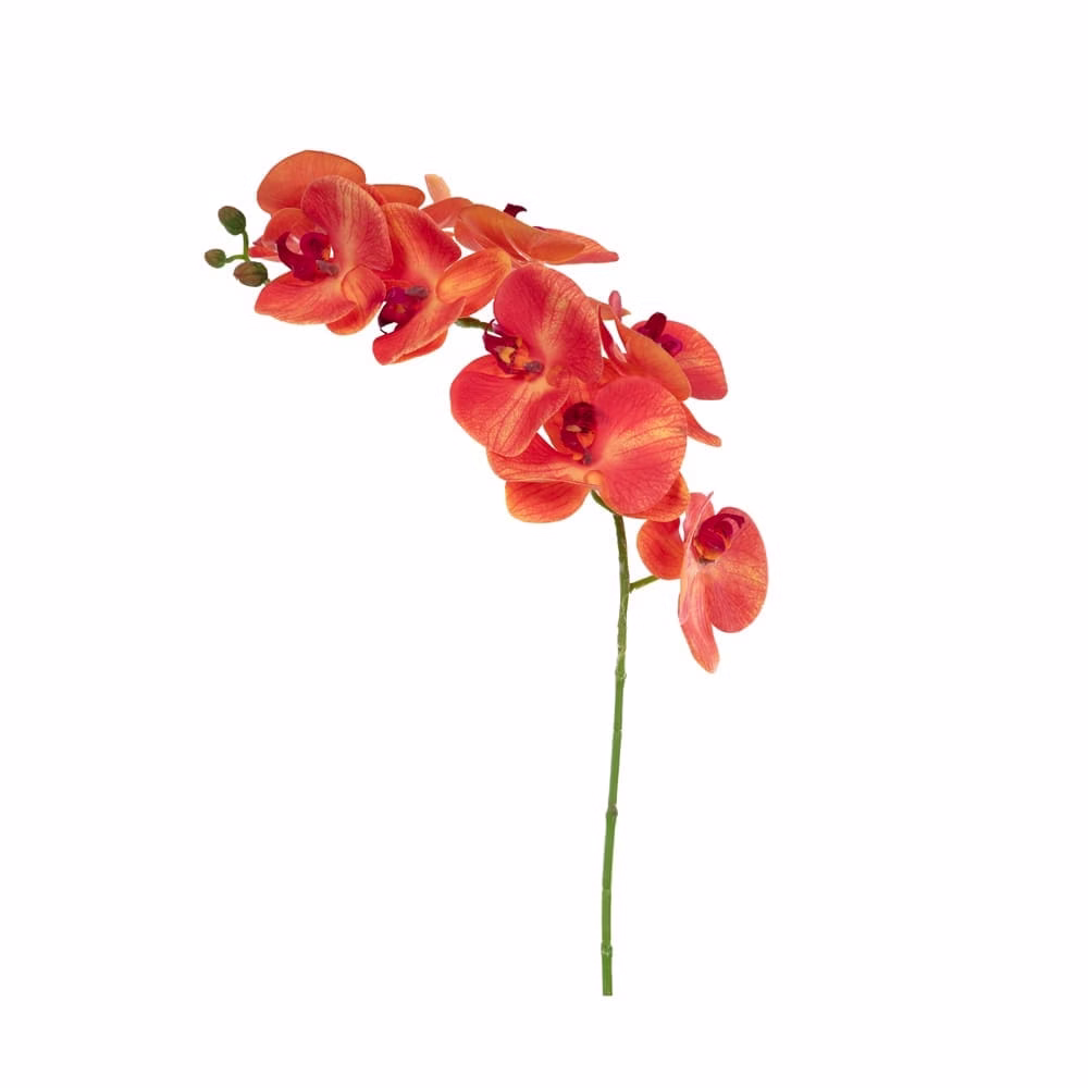 Yapay Orkide Çiçeği - Phalaenopsis Tek Dal - Görsel 3