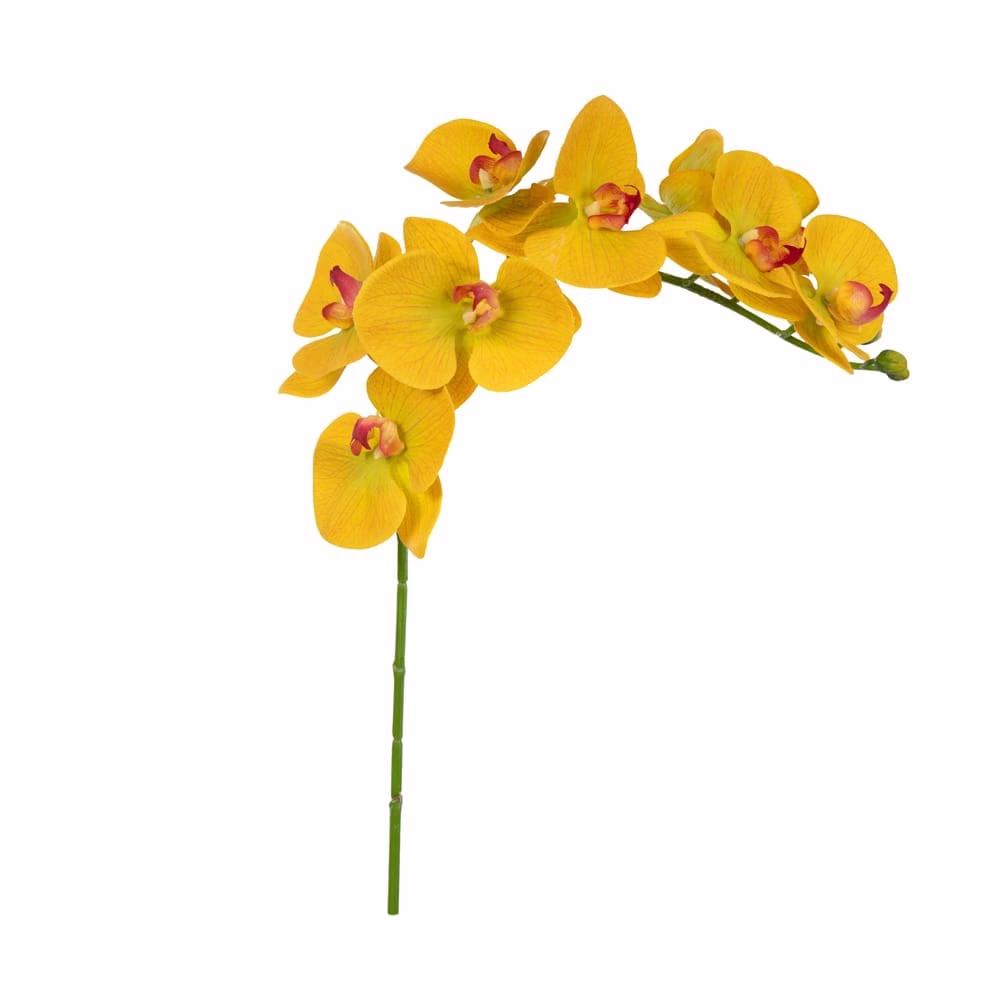 Yapay Orkide Çiçeği - Phalaenopsis Tek Dal - Görsel 4