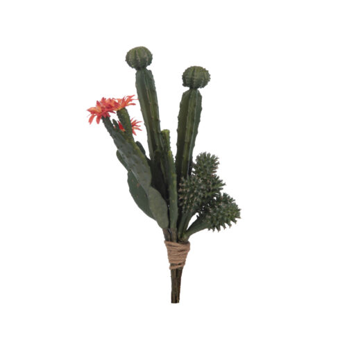 Mixed Cactus Bush