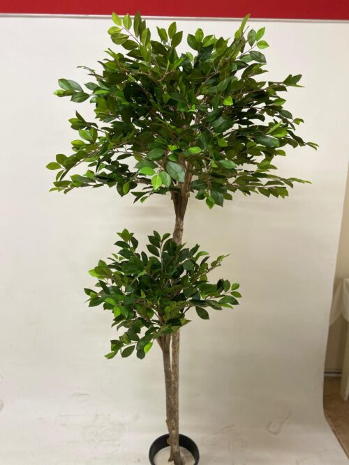 Yapay Ficus Ağacı - Retusa (180cm)