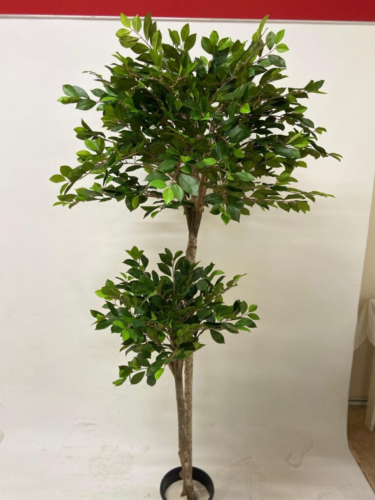 Yapay Ficus Ağacı - Retusa (180cm)