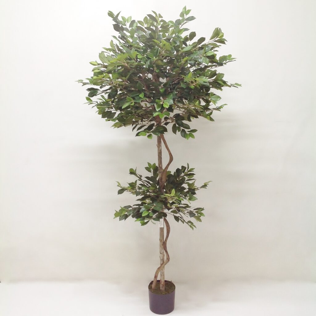 Yapay Ficus Ağacı - Retusa (180cm)