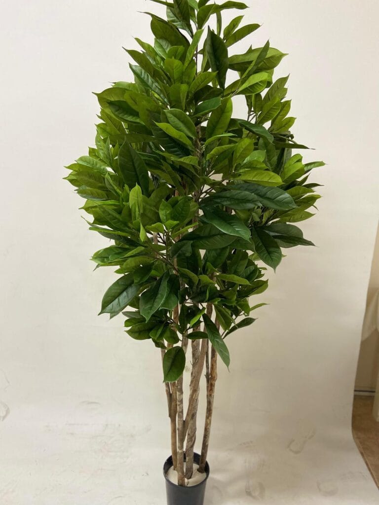 Yapay Ficus Cyathistipula (180cm)