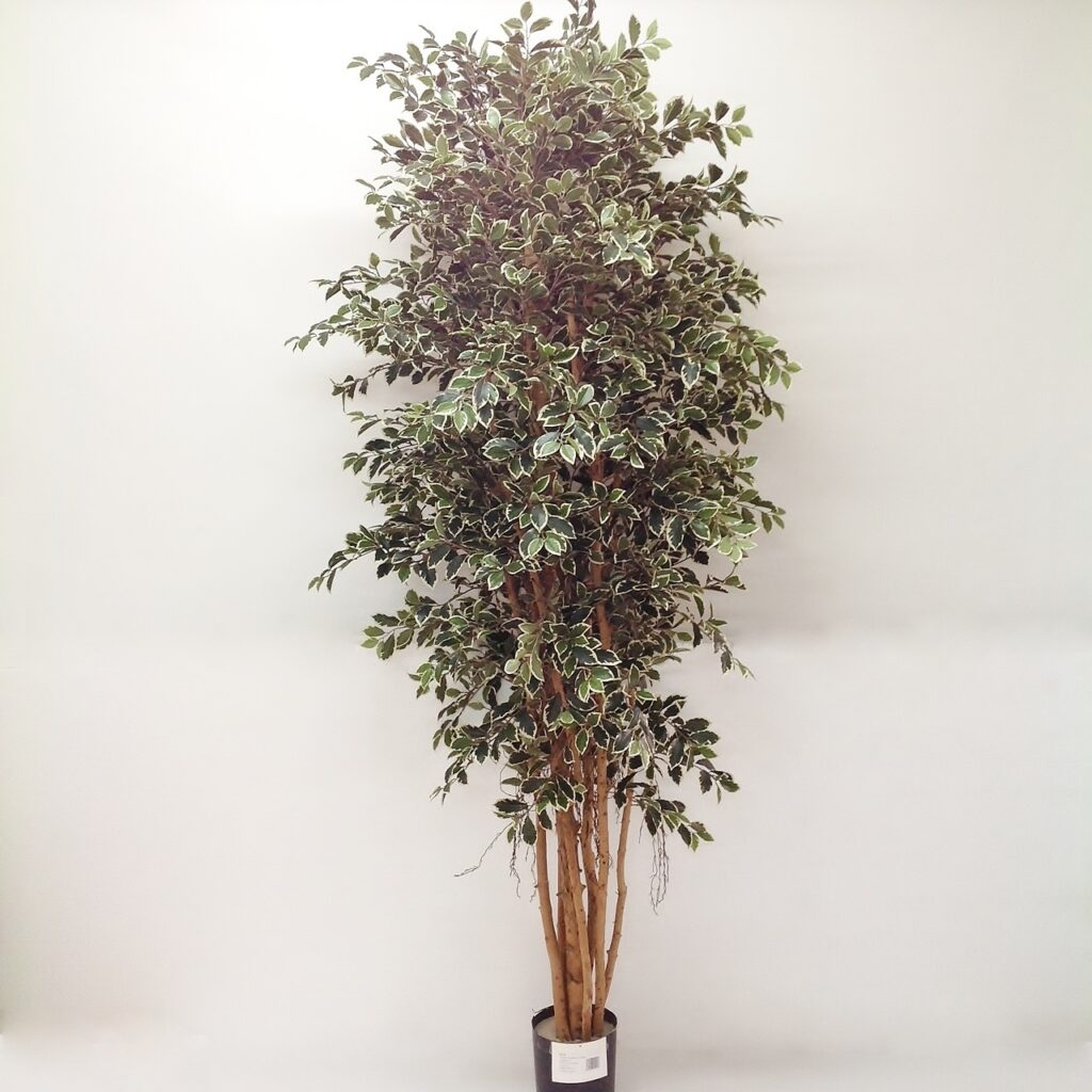 Yapay Ficus Ağacı - Retusa (210cm)