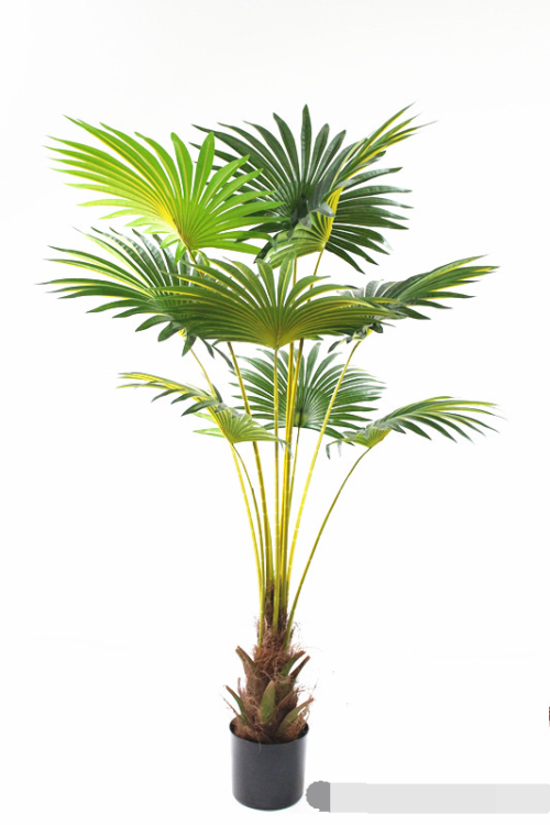 Yapay Fan Palmiye Ağaç