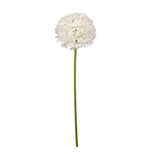 Allium Spray