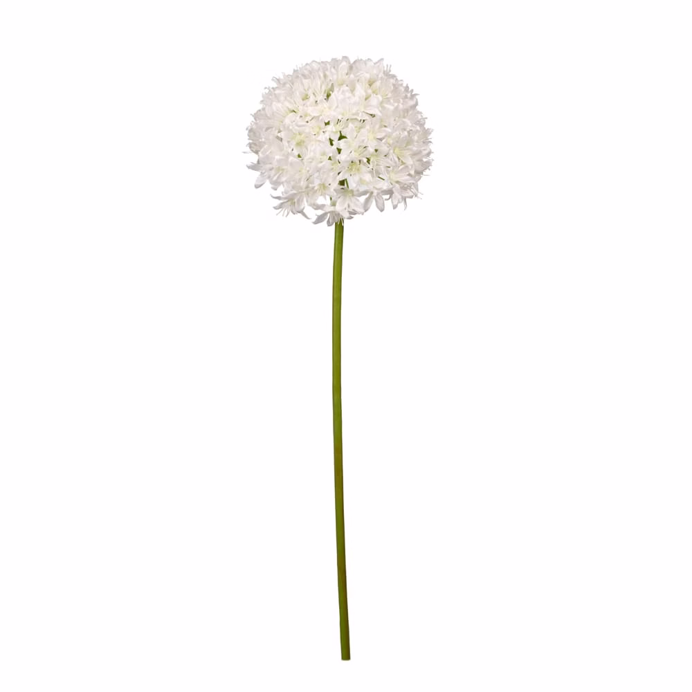 Allium Spray - Görsel 3