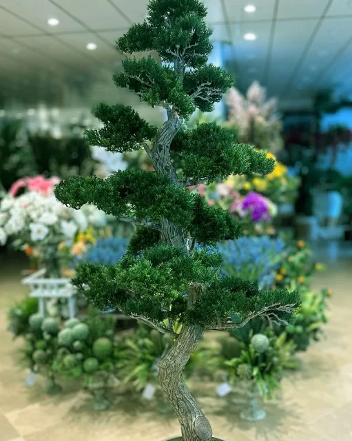 Dekoratif Bonsai Ağacı