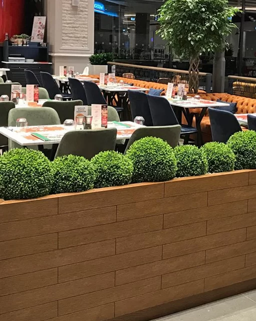Dekoratif Şimşir Top