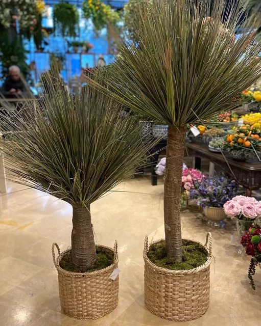 İç Mekan Yapay Ağaçlar