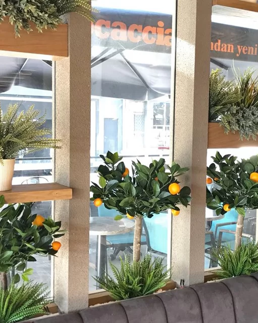 süs limon ağacı