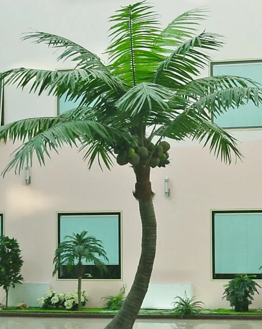 yapay tropikal ağaç