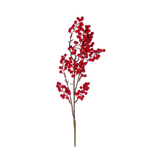 Berry Dal