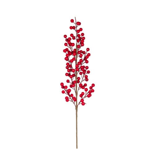 Berry Dal